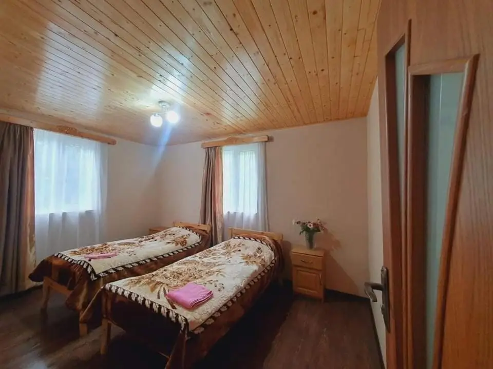 Местиа: Elenaa Guesthouse