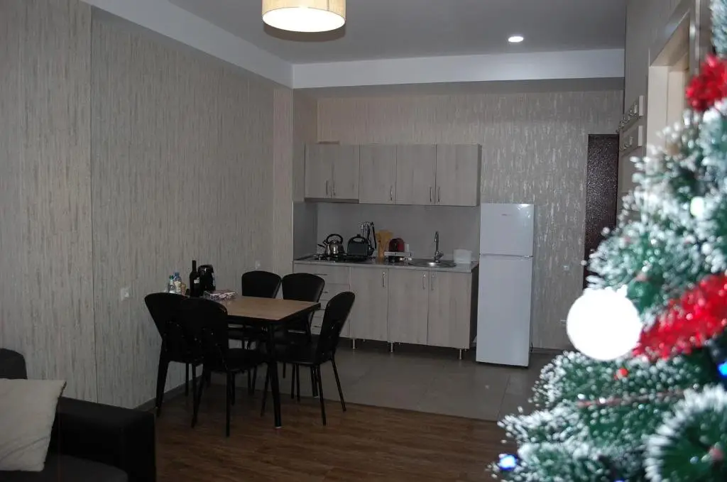 Бакуриани: Didveli Residence Block A Apartament 38
