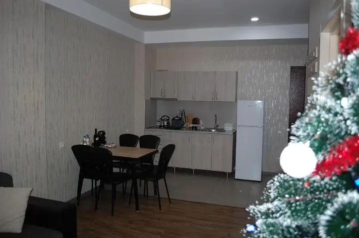 Бакуриани: Didveli Residence Block A Apartament 38
