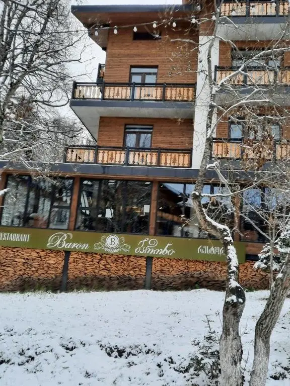 Бакуриани: Didveli Residence Apartment E-158