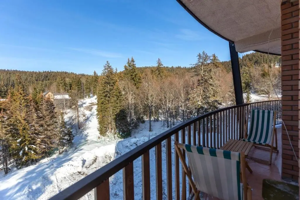 Бакуриани: Lovely 3Br Apartment In Peaceful Bakuriani Forest