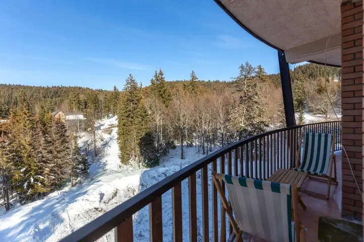 Бакуриани: Lovely 3Br Apartment In Peaceful Bakuriani Forest
