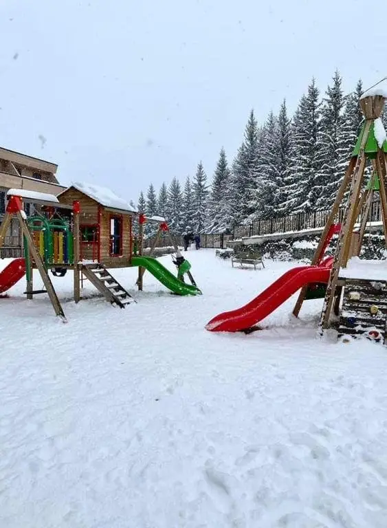 Бакуриани: Bakuriani Plaza A113