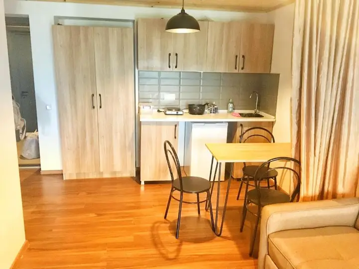 Бакуриани: Mgzavrebi Panoramaroom 53 Hotel