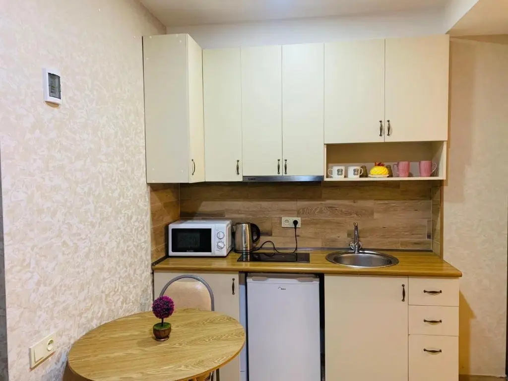 Бакуриани: Bakuriani Apartment 410