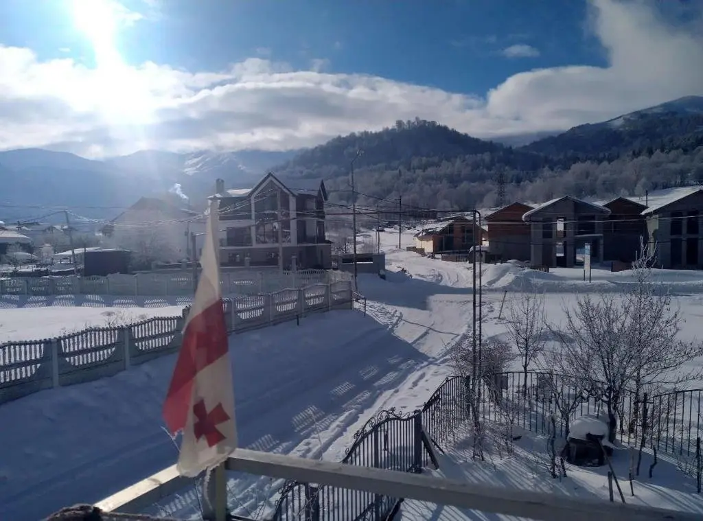 Бакуриани: Cozy cottage Entirely only! 235 to 423 lari per night for 6 to 14 persons
