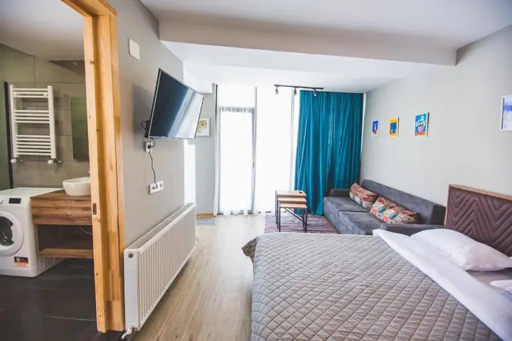 Бакуриани: bakuriani apartment - didveli gallery a209