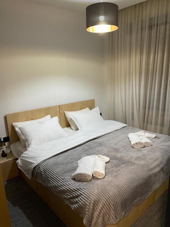 Бакуриани: Kokhta Mitarbi Apartment 205