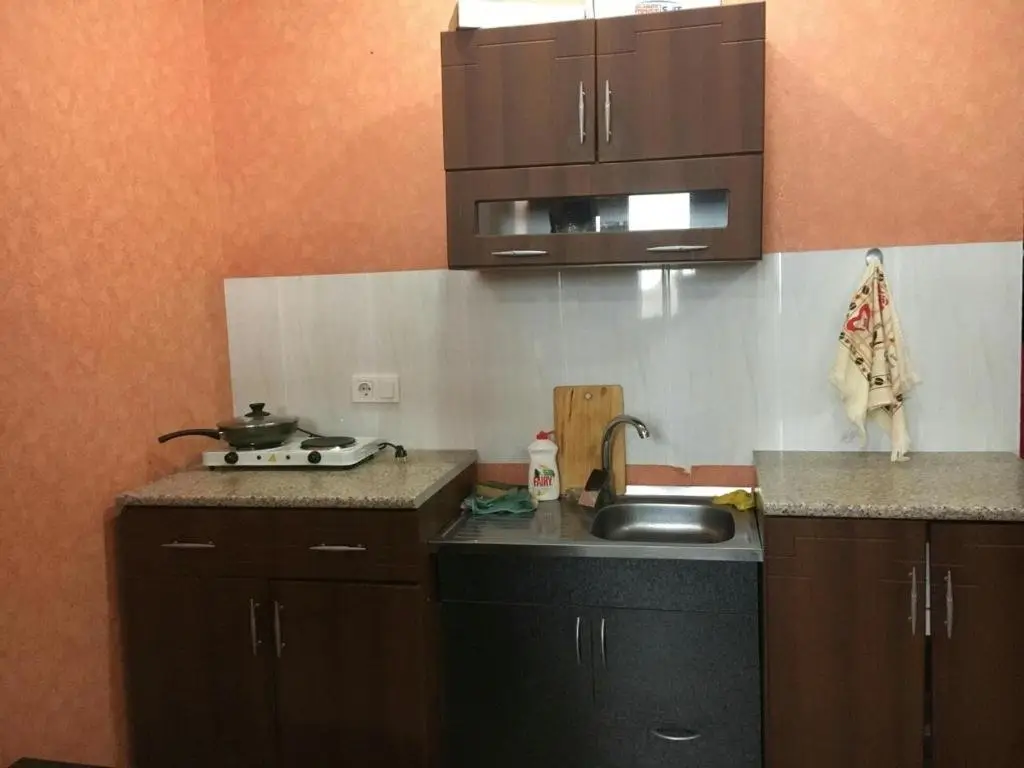 Бакуриани: Hotel Type Studio Type Apartment 30 Square