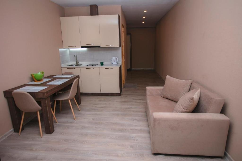 Бакуриани: The Valley Bakuriani Aparthotel 101