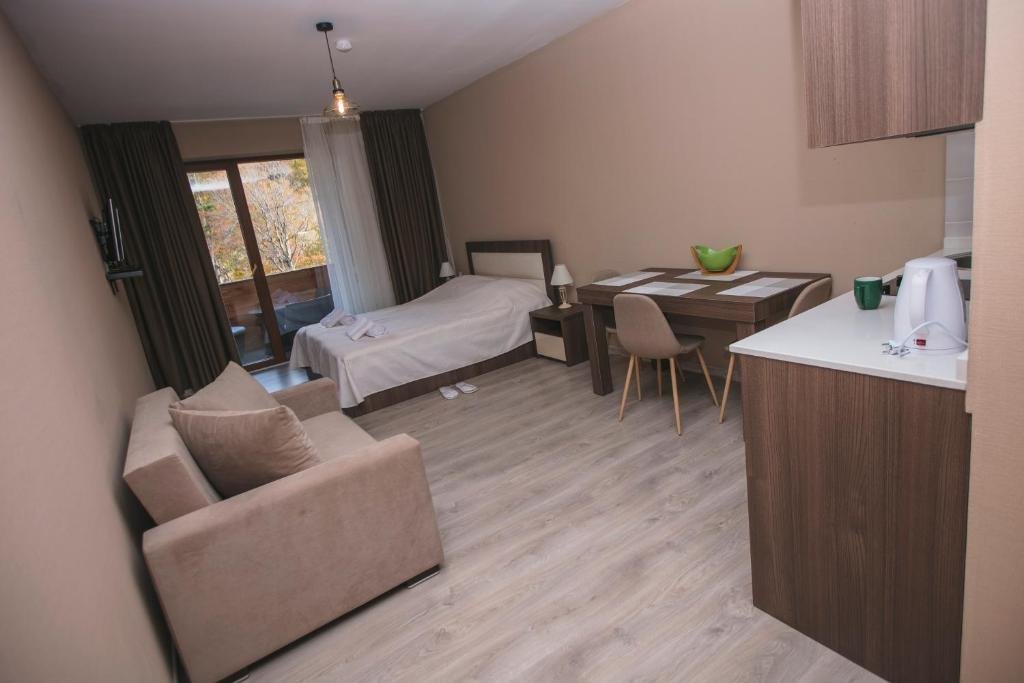 Бакуриани: The Valley Bakuriani Aparthotel 101