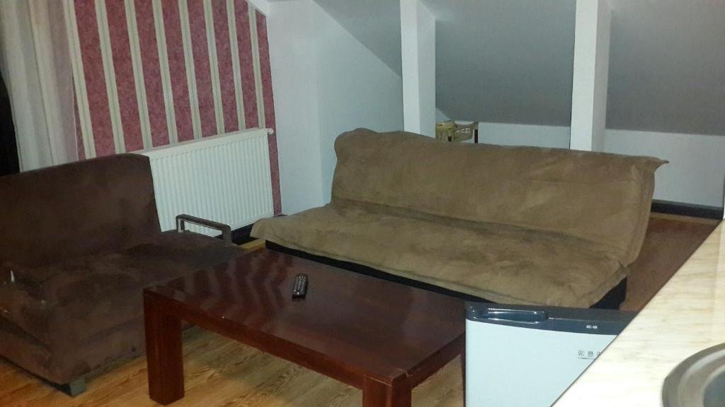 Бакуриани: Bakuriani Mgzavrebi Apt. 402