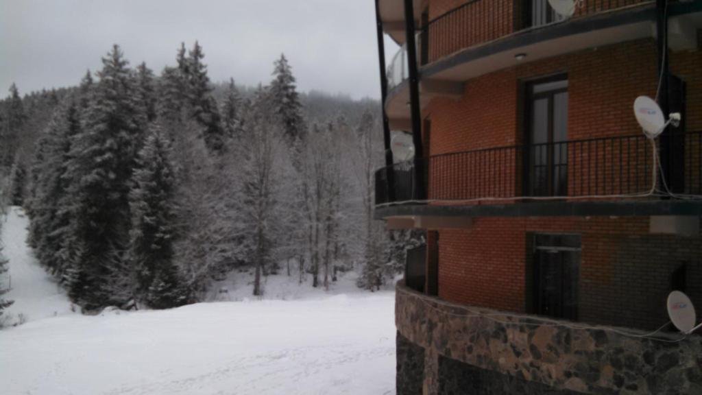 Бакуриани: House in he forest