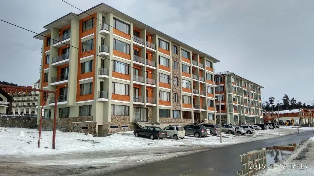 Бакуриани: Villa Deluxe Bakuriani103