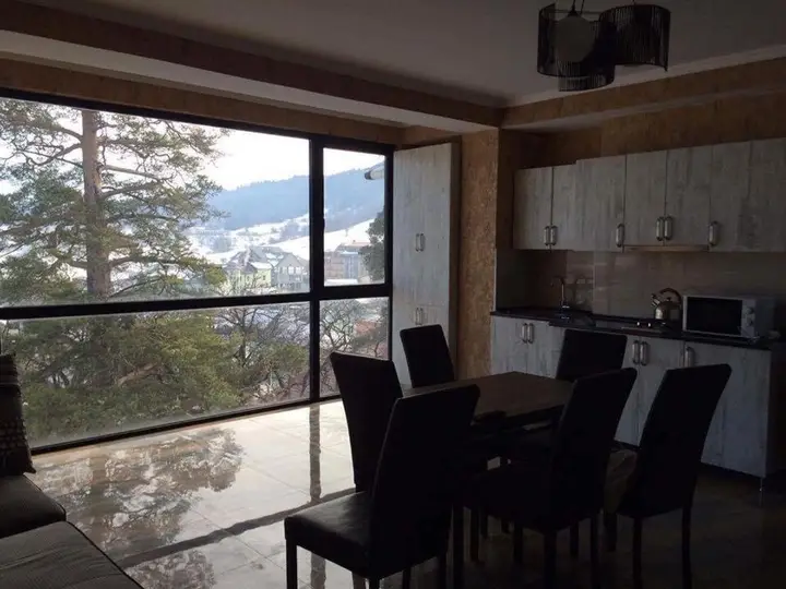 Бакуриани: Hillside Bakuriani , Room 501