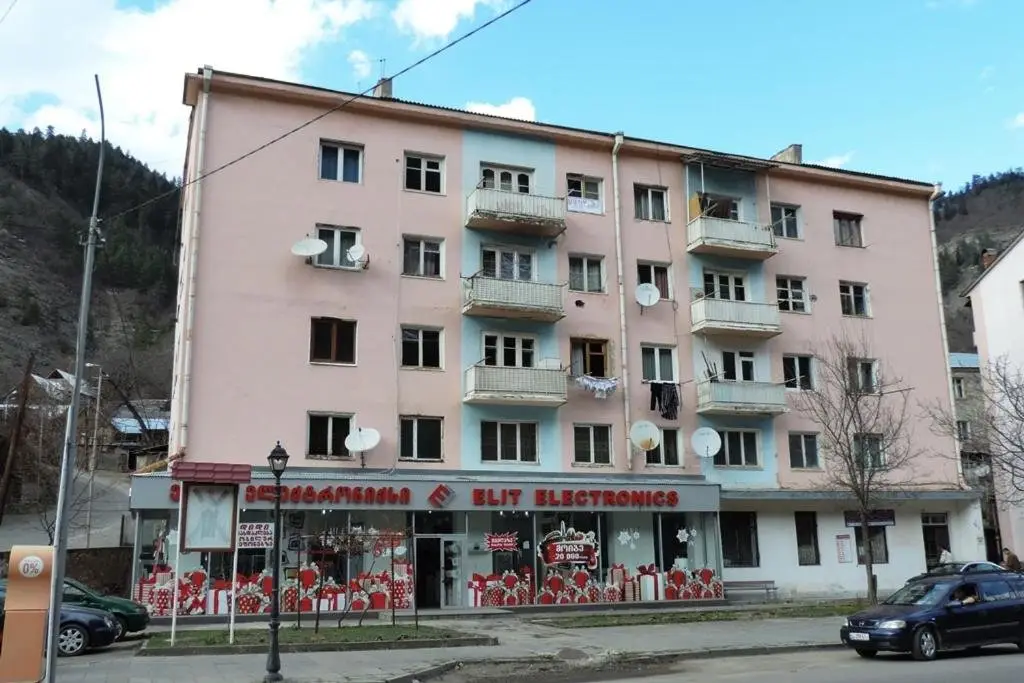 Боржоми: Apartment on Rustaveli 53