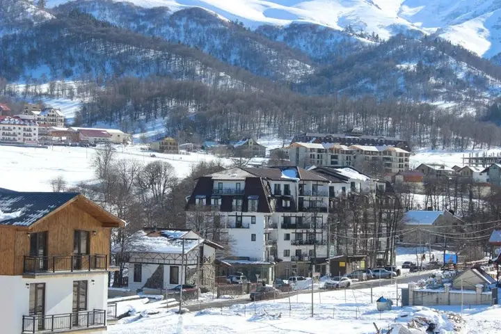 Бакурианский Андезит: Bakuriani Apartment HAYSTACK