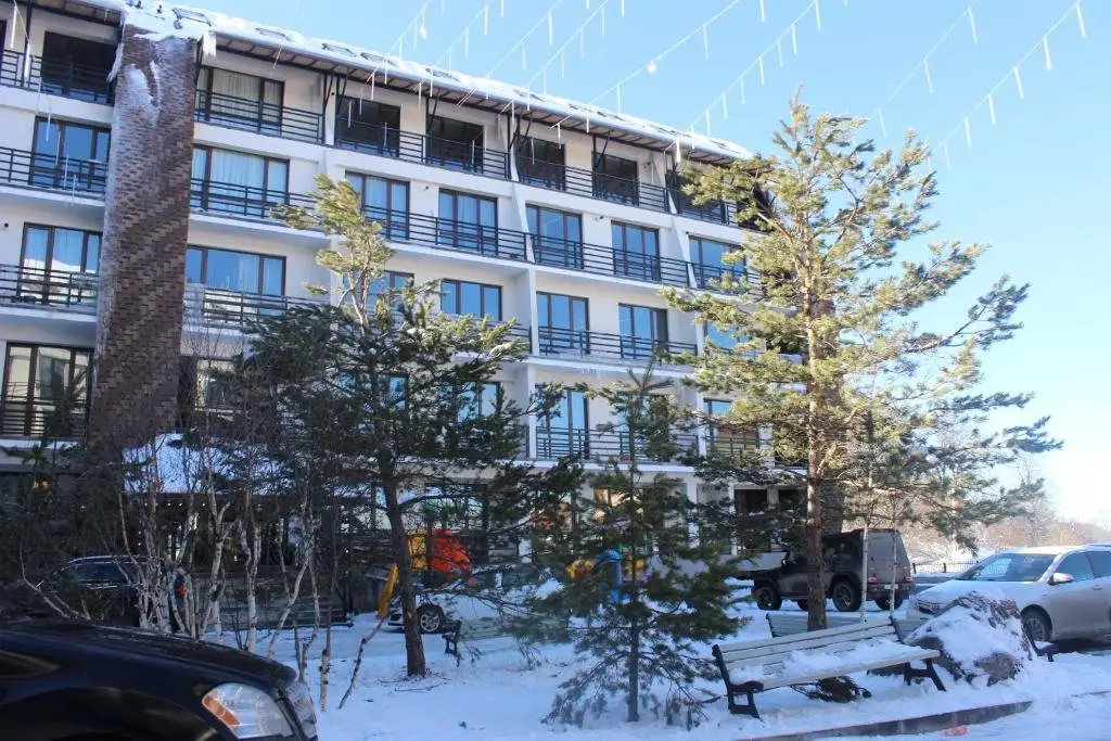 Бакурианский Андезит: Bakuriani Apartment HAYSTACK