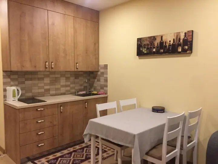 Гудаури: New Gudauri Studio For 4
