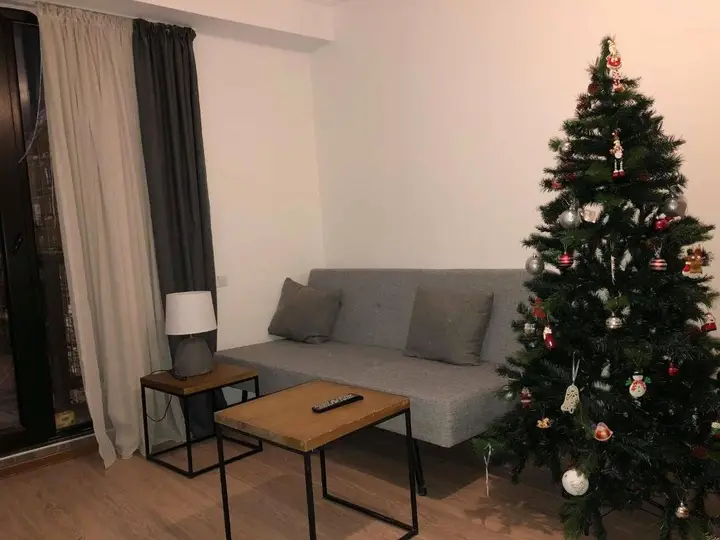 Гудаури: Apartment 319 in Mgzavrebi Gudauri