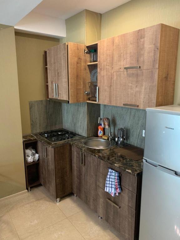 Бакуриани: Apartment 129 in Bakuriani Residance