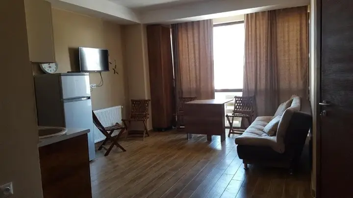Боржоми: Haystack apartment 102