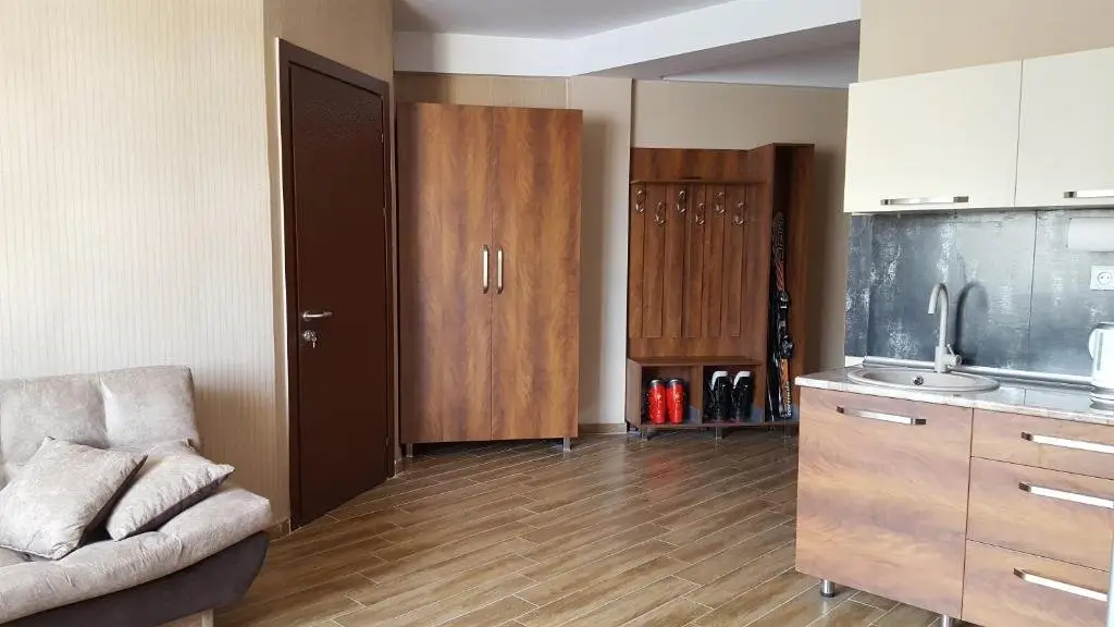 Боржоми: Haystack apartment 102