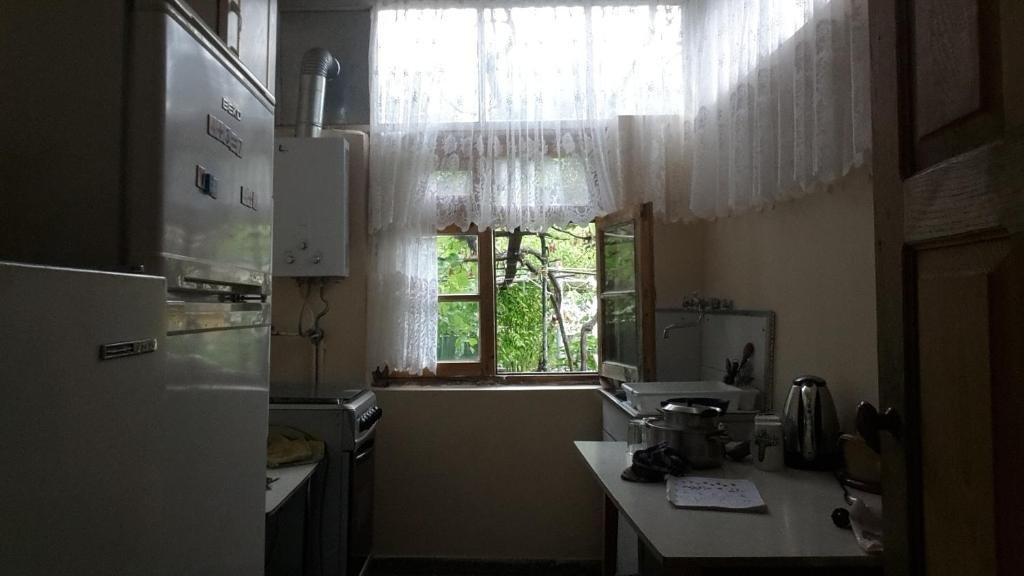 Боржоми: Holiday Home on Saakadze 46