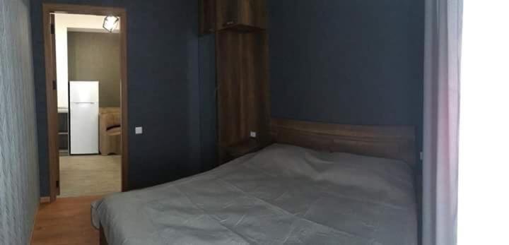 Бакурианский Андезит: Apartment TOMASI in Bakuriani