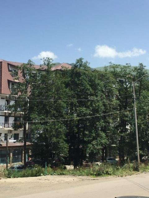Боржоми: Apartment in Bakuriani