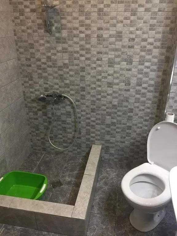 Боржоми: Apartment in Bakuriani