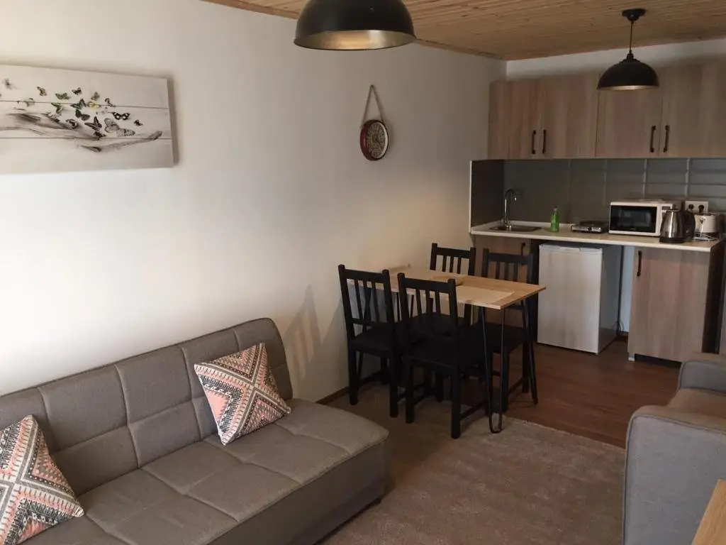 Бакуриани: Apartment 50 in 4 Star Hotel “Panorama Mgzavrebi”