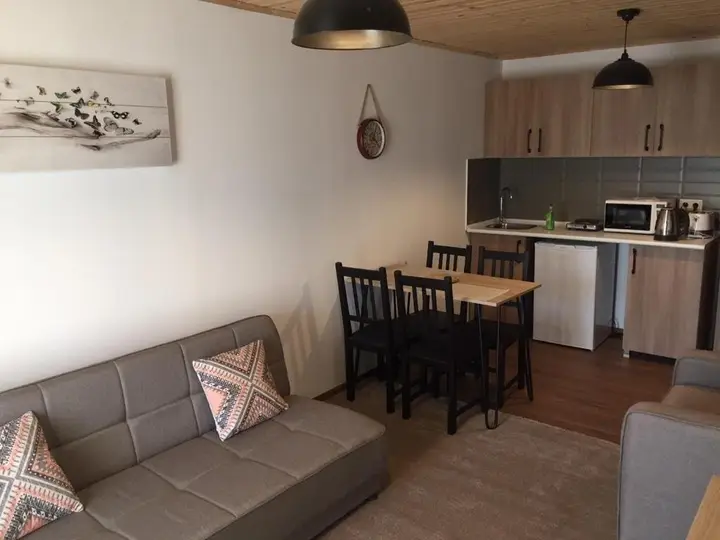Бакуриани: Apartment 50 in 4 Star Hotel “Panorama Mgzavrebi”