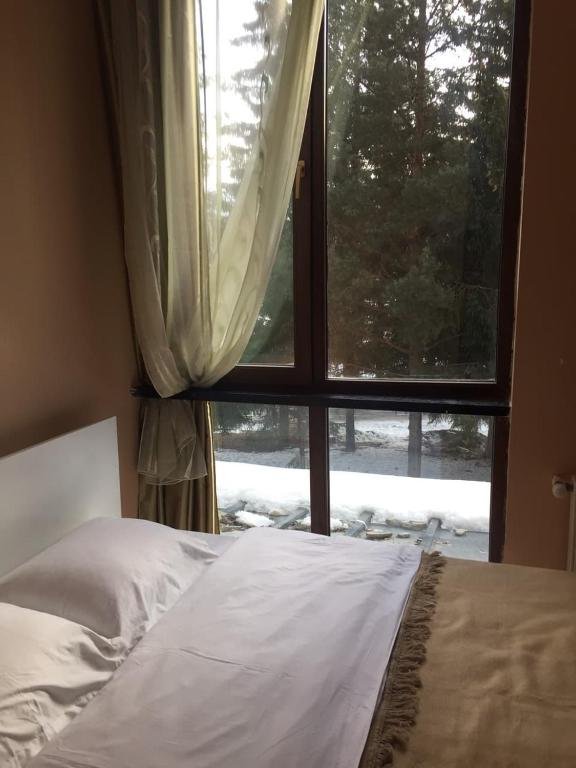 Бакуриани: Apartamen In Bakuriani 1