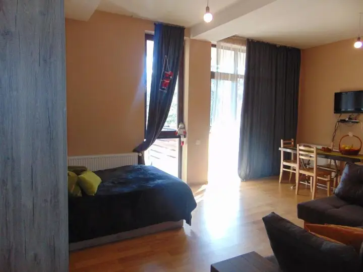 Бакуриани: Bakuriani city apartment 201
