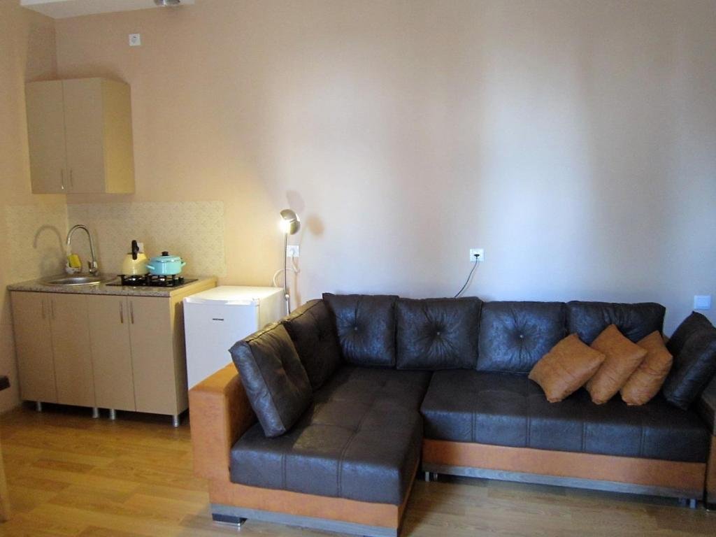 Бакуриани: Bakuriani city apartment 201