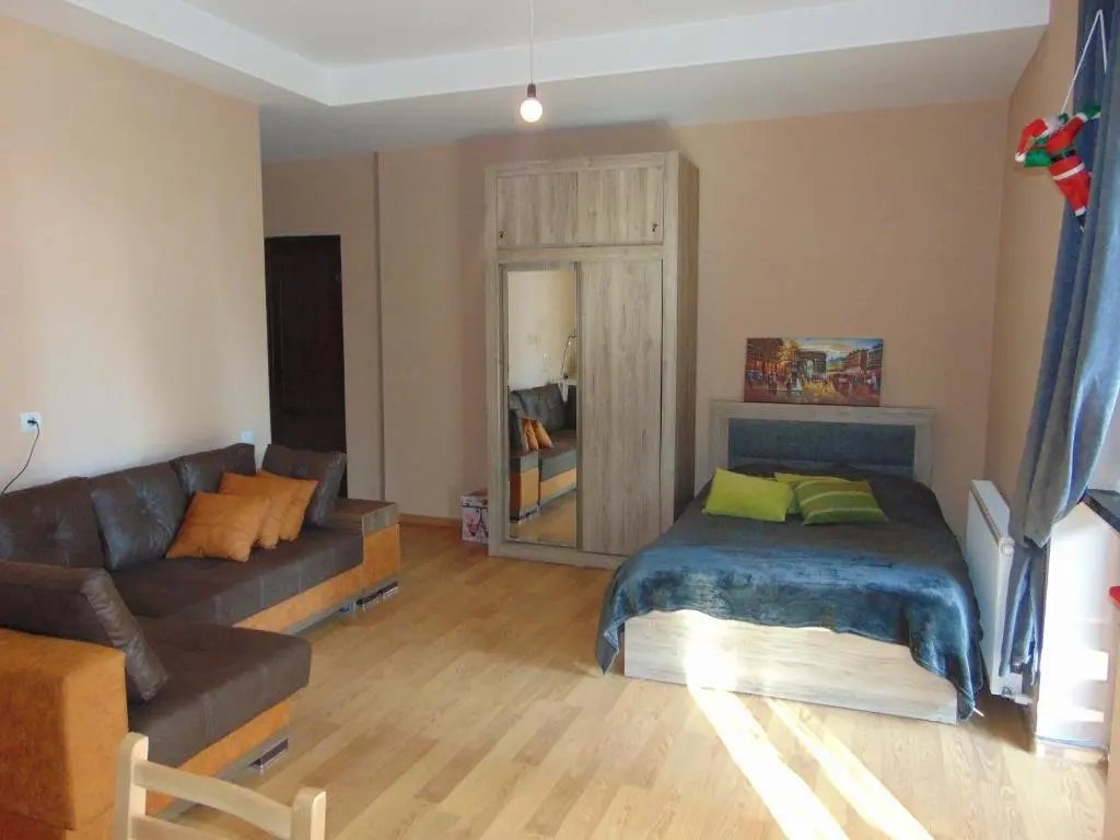 Бакуриани: Bakuriani city apartment 201
