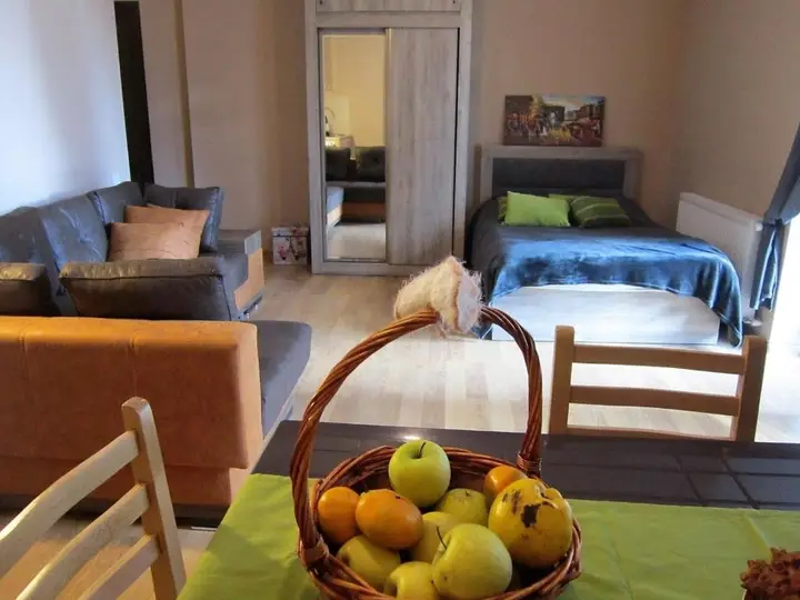 Бакуриани: Bakuriani city apartment 201