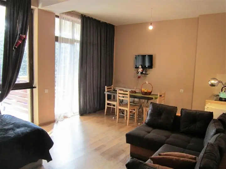 Бакуриани: Bakuriani city apartment 201