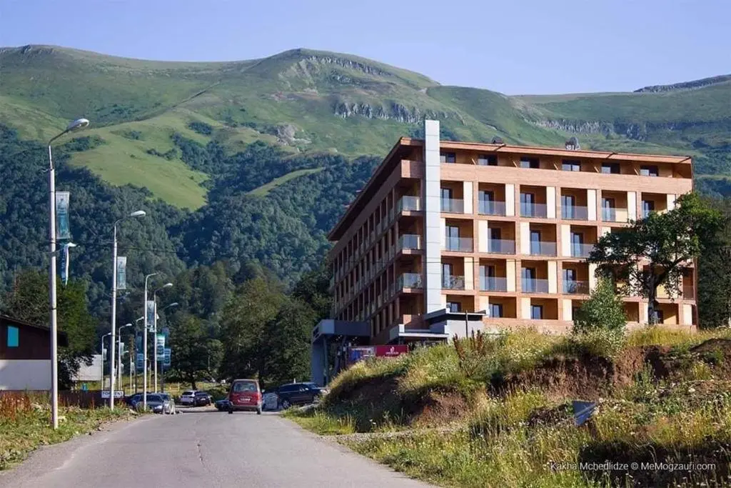Бакуриани: Bakuriani The Valley apartment 114