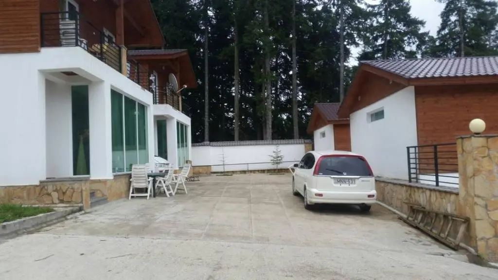 Бакуриани: Cottage in Kokhta Gora 2