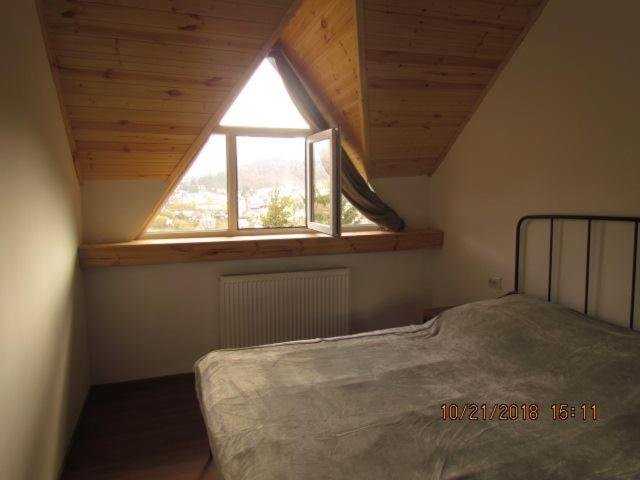 Бакуриани: Apartment in Bakuriani Panorama Mgzavrebi. Room N71