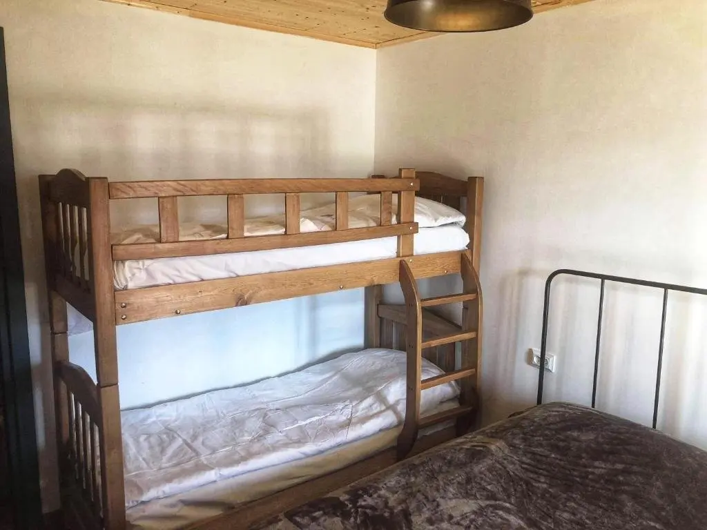 Бакуриани: New Mgzavrebi Apartment Room 60