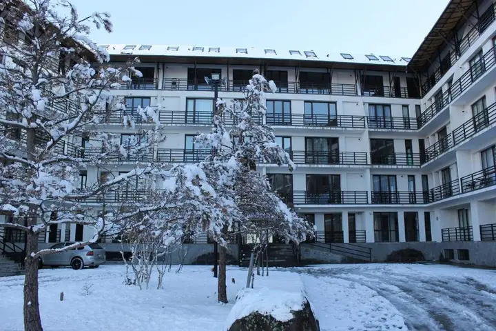 Бакуриани: Haystack Bakuriani Apartment 33a