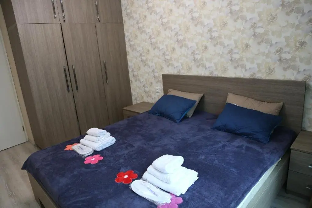 Бакуриани: Davit Agmashenebeli N 21