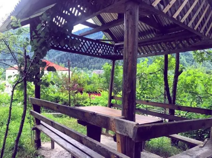 Боржоми: 3 Bedroom Apartment in Likani/Borjomi