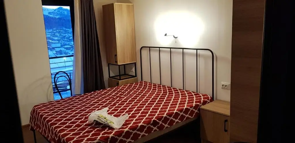 Бакуриани: Hotel Panorama Mgzavrebi 11Th