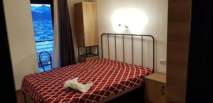 Бакуриани: Hotel Panorama Mgzavrebi 11Th