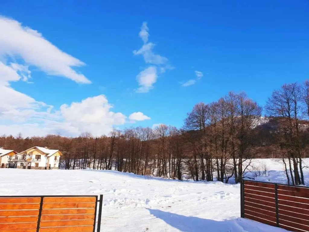 Бакуриани: Bakuriani cottage #2