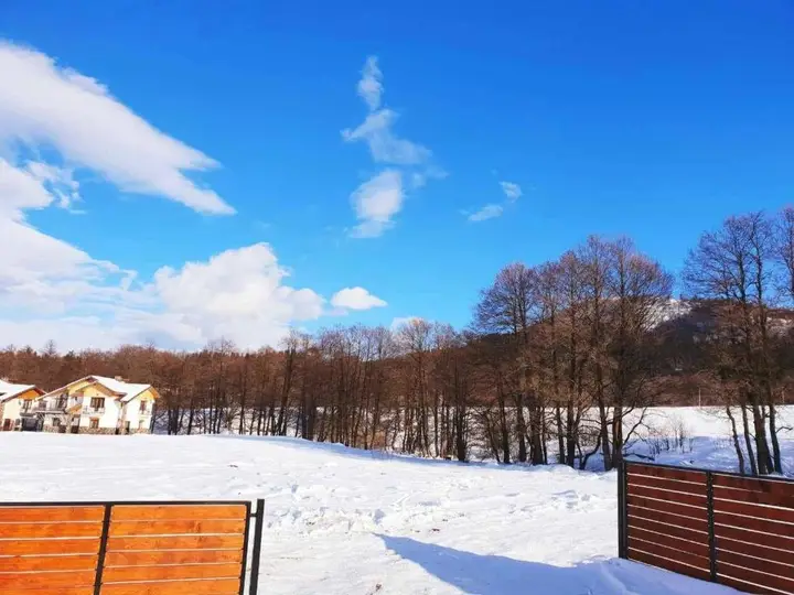Бакуриани: Bakuriani cottage #2